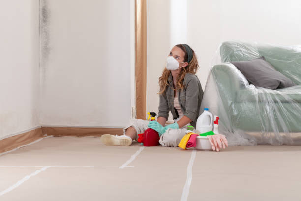 Reliable Mold Cleanup contractor in Glenwood, MD by WQB Mold Removal